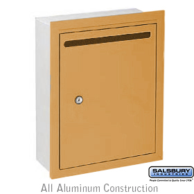Letter Box Standard Recessed Mounted Brass Finish Private Access