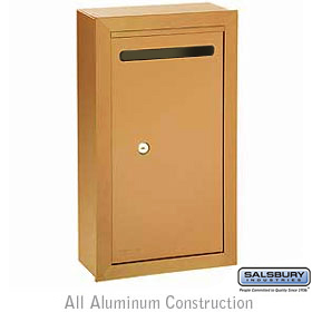 Letter Box Slim Surface Mounted Brass Finish Private Access With