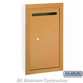 Letter Box Slim Recessed Mounted Brass Finish Private Access Wit